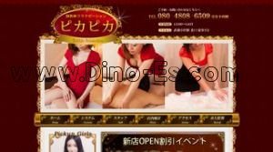 ピカピカ メンズエステ | DINOエステ(ディノエステ) 武蔵小杉駅近くのメンズエステ店舗(ピカピカ) | DINOエステ(ディノエステ)