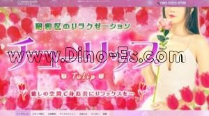御器所駅近くのメンズエステ店舗（チューリップ） | DINOエステ（ディノエステ）