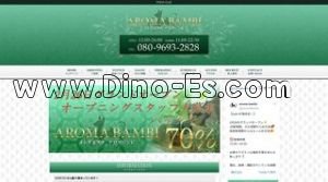 大久保駅近くのメンズエステ店舗（AROMA BAMBI アロマバンビ） | DINOエステ（ディノエステ）