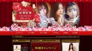 武蔵関の「ピカピカ」電話番号：080-6246-6242