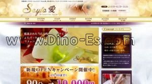 Seyto愛 メンズエステ | DINOエステ(ディノエステ) 武蔵浦和駅近くのメンズエステ店舗(Seyto愛) | DINOエステ(ディノエステ)