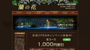 鷺沼の「蘭の花」電話番号：070-1187-8999