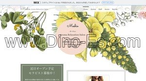 代々木駅近くのメンズエステ店舗（Meshie  ミーシェ） | DINOエステ（ディノエステ）