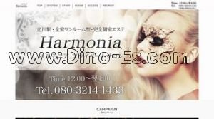 立川駅近くのメンズエステ店舗（Harmonia ハルモニア） | DINOエステ（ディノエステ）
