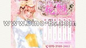 中央林間駅近くのメンズエステ店舗（花魁 おいらん） | DINOエステ（ディノエステ）