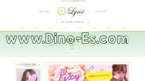 Lynx リンクス 新宿店 メンズエステ | DINOエステ(ディノエステ) 新宿三丁目駅近くのメンズエステ店舗(Lynx リンクス 新宿店) | DINOエステ(ディノエステ)