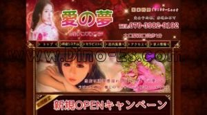 大口の「愛の夢」電話番号：070-3982-9192
