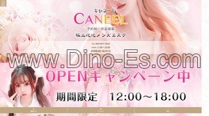 荻窪の「CANEEL キャネール」電話番号：080-6037-4642