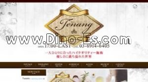 Tenang テナン メンズエステ | DINOエステ(ディノエステ) 練馬駅近くのメンズエステ店舗(Tenang テナン) | DINOエステ(ディノエステ)
