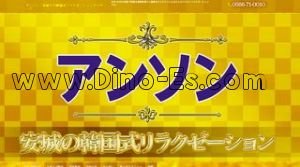 三河安城駅近くのメンズエステ店舗（アンソン） | DINOエステ（ディノエステ）