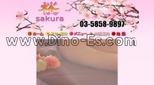 亀戸の「桜」電話番号：03-5858-9897