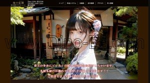 飯田橋駅近くのメンズエステ店舗（夜の女神） | DINOエステ（ディノエステ）