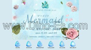 府中駅近くのメンズエステ店舗（Mermaid） | DINOエステ（ディノエステ）