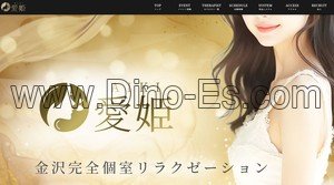 石川➠金沢駅の「愛姫 あいき」