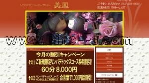 日吉(神奈川)の「美鳳」電話番号：045-594-6693
