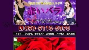 堺筋本町の「赤いバラ」電話番号：090-9116-5876