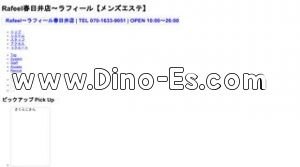 春日井駅近くのメンズエステ店舗（ラフィール春日井店） | DINOエステ（ディノエステ）