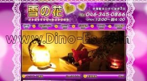 平塚の「雪の花」電話番号：046-345-0866