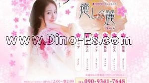 癒しの麗 メンズエステ | DINOエステ(ディノエステ) 蕨駅近くのメンズエステ店舗(癒しの麗) | DINOエステ(ディノエステ)
