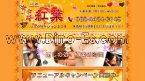 勝田台駅近くのメンズエステ店舗（恋） | DINOエステ（ディノエステ）