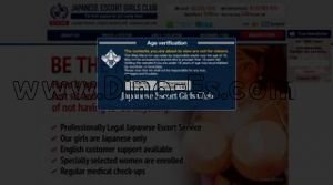 日本橋(大阪)の「Japanese Escort Girls Club」電話番号：06-6214-3338