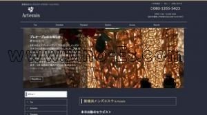 Artemes アルテミス メンズエステ | DINOエステ(ディノエステ) 新横浜駅近くのメンズエステ店舗(Artemes アルテミス) | DINOエステ(ディノエステ)