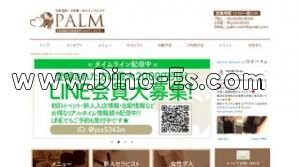 東梅田駅近くのメンズエステ店舗（PALM パルム） | DINOエステ（ディノエステ）