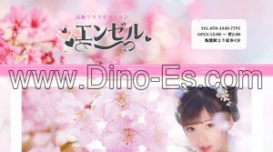 飯能駅近くのメンズエステ店舗（エンゼル） | DINOエステ（ディノエステ）