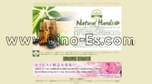 大阪の「ナチュラルハンズ」電話番号：06-6225-2900