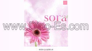 浜松駅近くのメンズエステ店舗（SORA ソラ） | DINOエステ（ディノエステ）