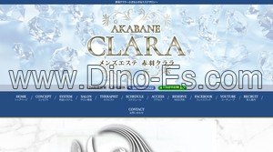池袋駅近くのメンズエステ店舗（CLARA～クララ～） | DINOエステ（ディノエステ）