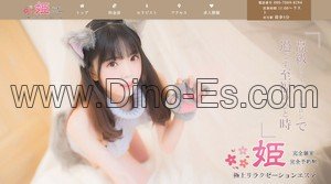 千葉➠JR市川駅南口の「姫」