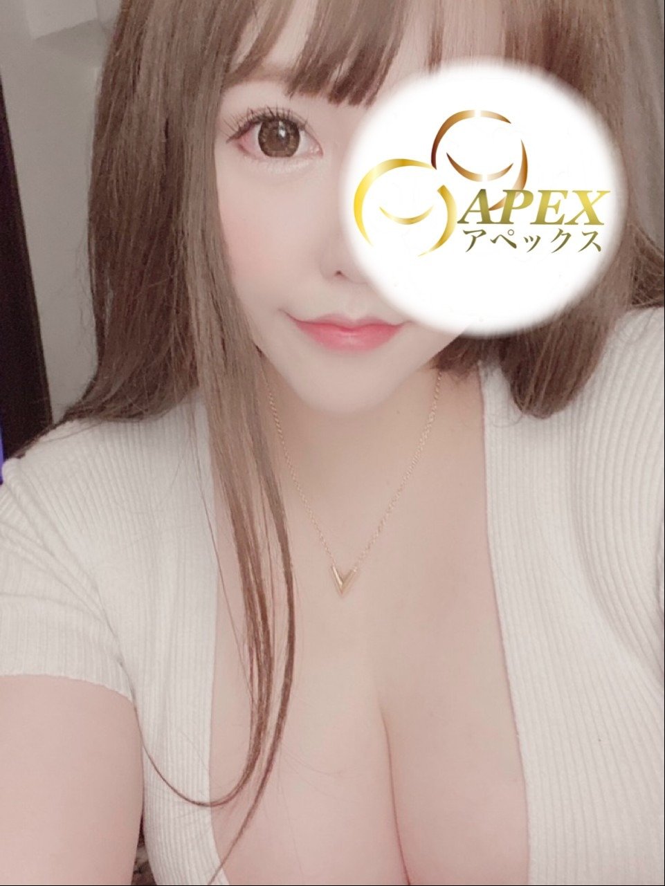 兵庫➠姫路駅の「APEX アペックス」