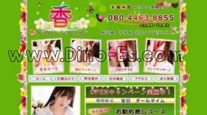 平井駅近くのメンズエステ店舗（香） | DINOエステ（ディノエステ）