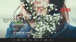 La Diosa de Tokio メンズエステ | DINOエステ(ディノエステ) 青山一丁目駅近くのメンズエステ店舗(La Diosa de Tokio) | DINOエステ(ディノエステ)