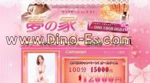保谷の「夢の家」電話番号：090-1808-9584