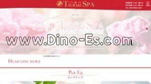 五反田の「TSUBAKI SPA ツバキ スパ」電話番号：090-9966-3245