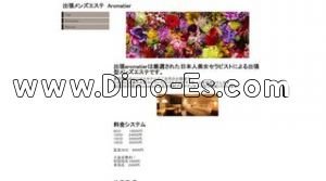 東京駅近くのメンズエステ店舗（出張メンズエステ Aromatier） | DINOエステ（ディノエステ）