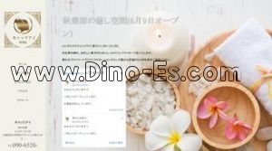 秋葉原の「キャッツアイ」電話番号：090-6520-1688