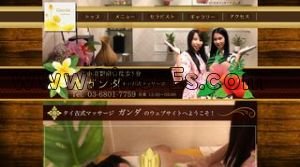 小岩駅近くのメンズエステ店舗（ガンダ） | DINOエステ（ディノエステ）