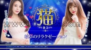 岐阜羽島の「猫 ねこ」電話番号：090-8553-8636