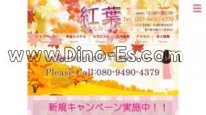 登戸の「紅葉」電話番号：080-9490-4379