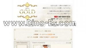 市ヶ谷の「熟SPA  GOLD」電話番号：080-9808-5533