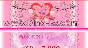 中央林間駅近くのメンズエステ店舗（キャンディ学園） | DINOエステ（ディノエステ）