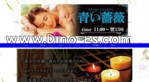 青い薔薇 メンズエステ | DINOエステ(ディノエステ) 伏見駅近くのメンズエステ店舗(青い薔薇) | DINOエステ(ディノエステ)