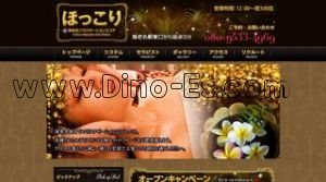 海老名の「ほっこり」電話番号：080-9533-4969