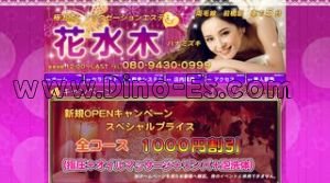 花水木 メンズエステ | DINOエステ(ディノエステ) 前橋駅近くのメンズエステ店舗(花水木) | DINOエステ(ディノエステ)