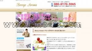 Berryz Aroma ベリーズアロマ メンズエステ | DINOエステ(ディノエステ) 新潟駅近くのメンズエステ店舗(Berryz Aroma ベリーズアロマ) | DINOエステ(ディノエステ)