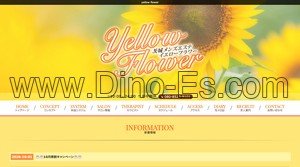 下館駅近くのメンズエステ店舗（yellow flower イエローフラワー） | DINOエステ（ディノエステ）