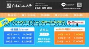 三ノ宮(ＪＲ)の「白ねこエステ」電話番号：078-600-2819
